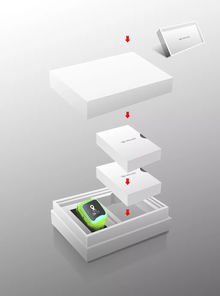 包装设计的双重维度 电子产品平面包装与茶叶食品礼盒设计探析